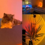 Smart Tuya RGB Sunset Projection Lamp with App Control for Photography and Room Decor - Image 2
