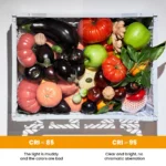 RGB LED video light with cold shoe mount for camera