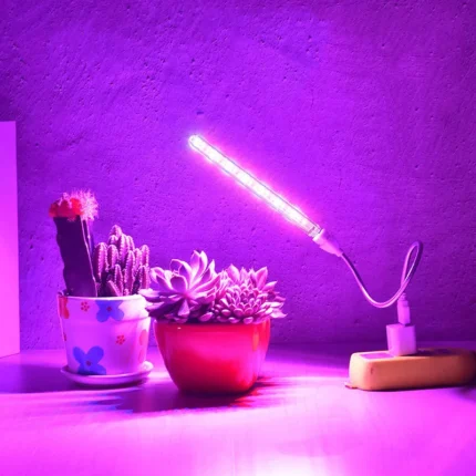 Flexible USB LED grow light for indoor succulent plant care