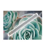 Flexible USB LED grow light for indoor succulent plant care