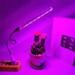 Flexible USB LED grow light for indoor succulent plant care