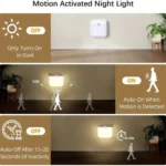 Rechargeable motion sensor night light with magnetic mount