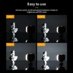 Compact LED video light with soft diffuser for cameras and phones