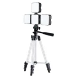 Portable LED video light with hot shoe mount for cameras